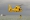 Eurocopter AS-365N-3 Dauphin 2