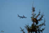 Boeing 747-428M(BCF)