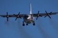 Antonov An-12BK