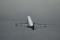 Boeing 747-47UF/SCD