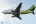 Boeing 737-522