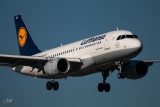 Airbus A319-114