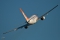 Boeing 737-7Q8