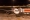 Airbus A321-231