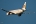 Airbus A320-214