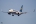 Boeing 737-8AS