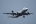 Airbus A319-114