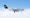Airbus A319-112