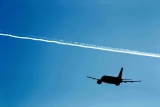 Airbus A319-114