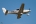 Cirrus SR-22 GTS
