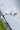 Sukhoi Su-26M