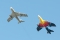 Hawker Hunter F58A