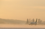 Boeing 737-522