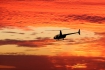 Robinson R-44