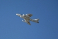 Hawker Hunter F58