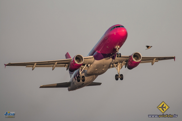 Airbus A320-232