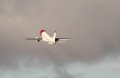 Boeing 737-3Y0