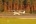 Reims F172N Skyhawk 100