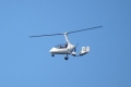 AutoGyro Calidus