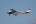 Cessna T207A Turbo Skywagon