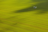Bell 407