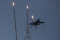 General Dynamics (SABCA) F-16AM Fighting Falcon
