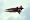 Northrop F-5E Tiger II