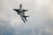 Mikoyan-Gurevich MiG-29AS (9-12A)