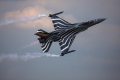 General Dynamics (SABCA) F-16AM Fighting Falcon