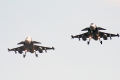 Saab JAS-39D Gripen