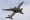 Boeing 777-243/ER