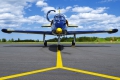Aero L-39C Albatros
