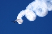 Sukhoi Su-31