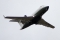 Bombardier Challenger 605 (CL-600-2B16)