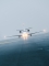 Cessna 560XL Citation XLS+