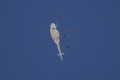 Mil Mi-8T