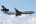 McDonnell Douglas MD-11F