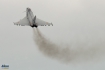 Eurofighter EF-2000 Typhoon S