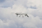 General Atomics MQ-1B Predator