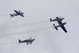 Extra EA-300L