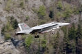 McDonnell Douglas F/A-18C Hornet
