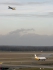 Airbus A320-212