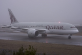 Boeing 787-8 Dreamliner