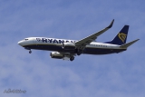 Boeing 737-8AS