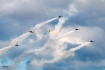 Aero L-39C Albatros