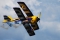 Pitts 12S