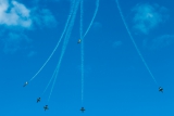 Aero L-39C Albatros