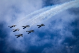 Aero L-39C Albatros