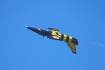 Aero L-39C Albatros