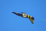 Aero L-39C Albatros